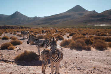 Similar image 22337186