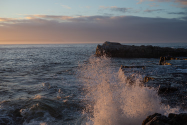 Similar image 22337188