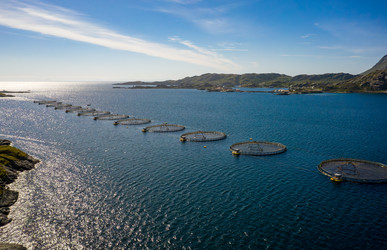 Similar image 22333435