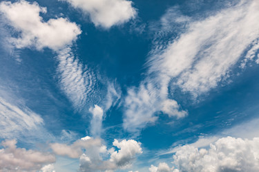 Similar image 22333439