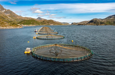 Similar image 22333443