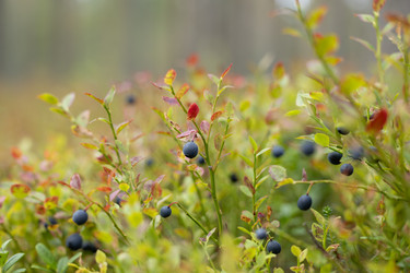 Similar image 22333730