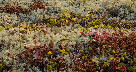 Similar image 22333733