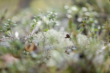 Similar image 22333744