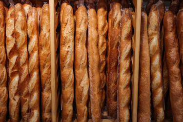 Similar image 22333748