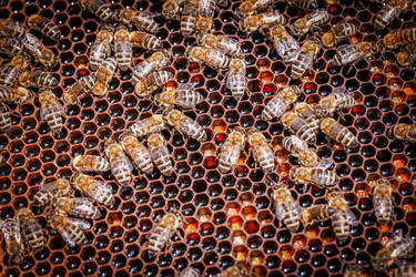 Similar image 22333754