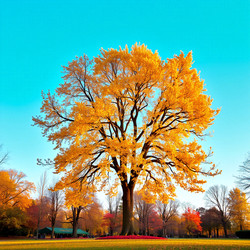 Similar image 22340262