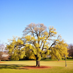 Similar image 22340361