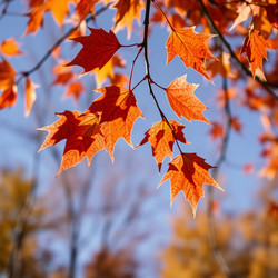 Similar image 22347346