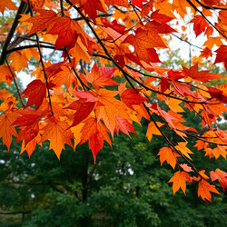 Similar image 22347347