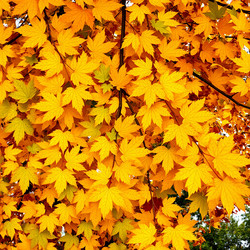 Similar image 22347348