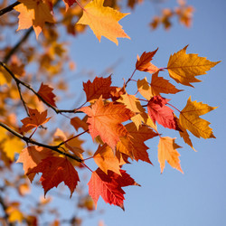 Similar image 22347349