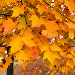 Similar image 22347350