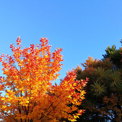 Similar image 22347351