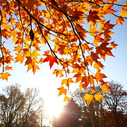 Similar image 22347352