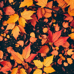 Similar image 22347353