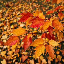 Similar image 22347354