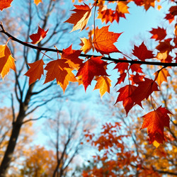 Similar image 22347355