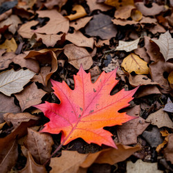 Similar image 22347358