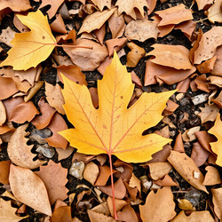 Similar image 22347359