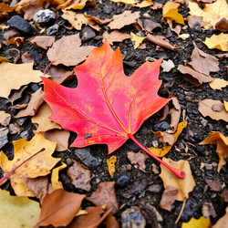 Similar image 22347360