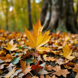 Similar image 22347361