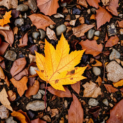 Similar image 22347362