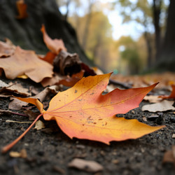 Similar image 22347363