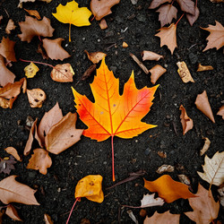 Similar image 22347365