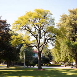 Similar image 22340362