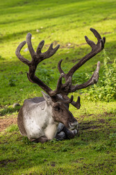 Similar image 22333458