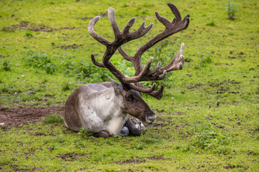 Similar image 22333459