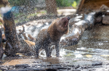 Similar image 22333461