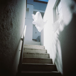 Similar image 22336287