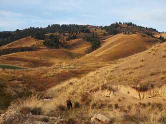 Similar image 22340562