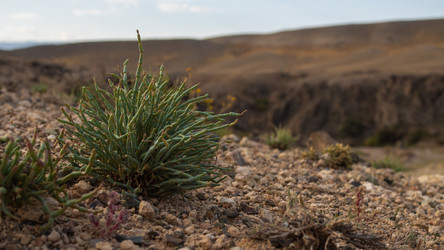 Similar image 22341020