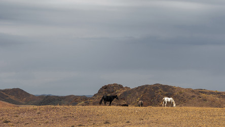 Similar image 22340563