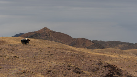 Similar image 22340565