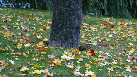 Similar image 22335391