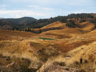 Similar image 22340567