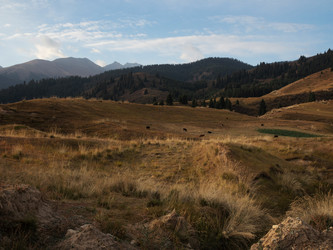 Similar image 22340569