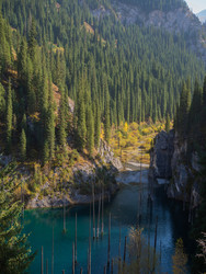 Similar image 22340572