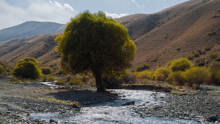 Similar image 22340584