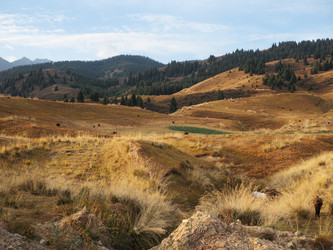 Similar image 22340587