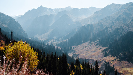 Similar image 22340588