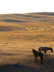 Similar image 22341030