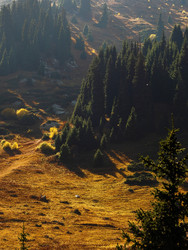 Similar image 22340594