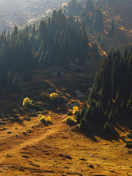 Similar image 22340595