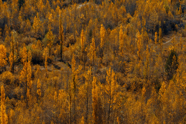 Similar image 22340596