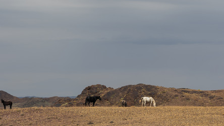 Similar image 22340601